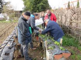 Estagel, Toulouges : deux actions pilotes pour s’initier au jardinage biologique