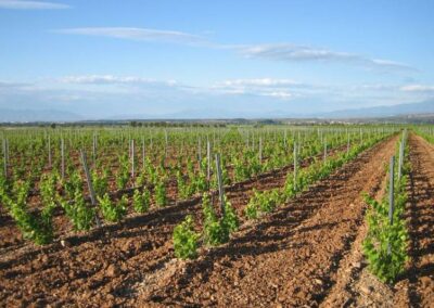 Pour avancer vers l’agro-écologie, les groupements d’intérêt économique et environnemental peuvent compter sur l’enseignement agricole