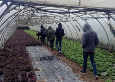 Visites filière 2020 avec les BTSa Productions Horticoles