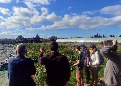 Les BTSa Productions Horticoles découvrent la permaculture d’André Trives à Elne