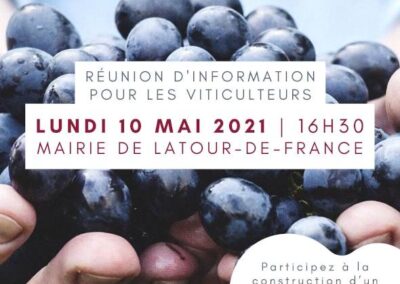 Formation Skola – Métiers de la vigne