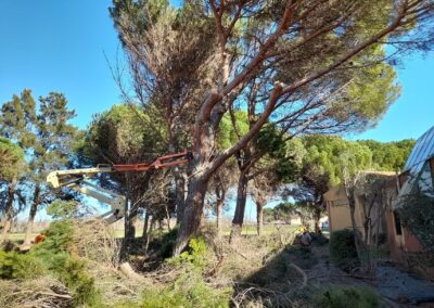 Travaux forestiers en milieu habité