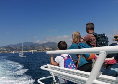 Relâcher d’une tortue Caouanne à Banyuls-sur-mer