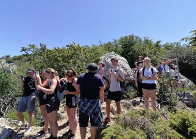 Immersion dans la réserve naturelle de la Massane