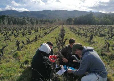 BAC STAV Sciences et Technologies de l’Agronomie et du Vivant