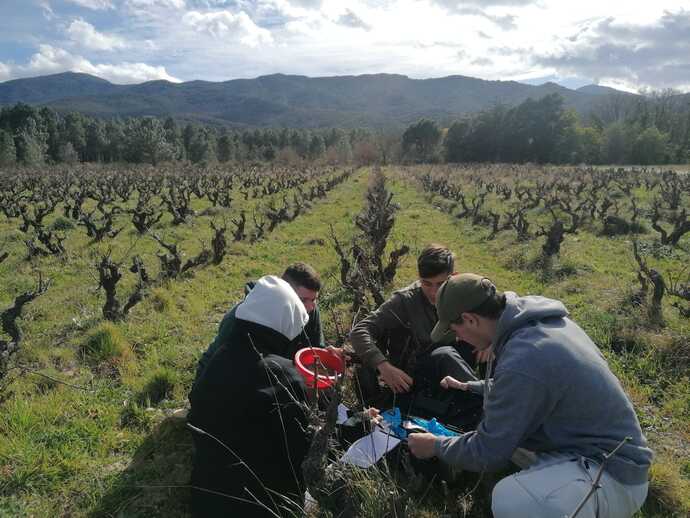 BAC STAV Sciences et Technologies de l’Agronomie et du Vivant