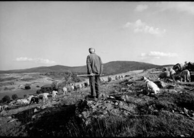 «Rural» de Raymond Depardon