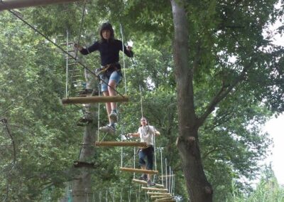 Les 4èmes voltigent dans les arbres