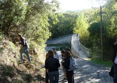 Ecologie : étude d’un milieu naturel