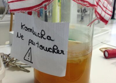 Le Kombucha