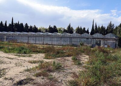 De Rivesaltes à Théza, vers la reconception de l’exploitation agricole