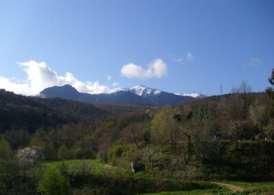 Reprise des pommiers des Jardins de l’Amitié