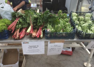 L’enseignement agricole en démonstrations