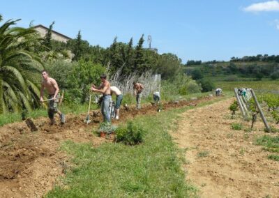 Chantier de plantation en BTSa Aménagements Paysagers