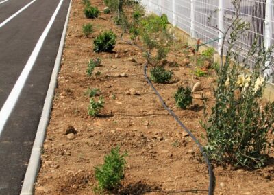 Plantations à l’IRFMA