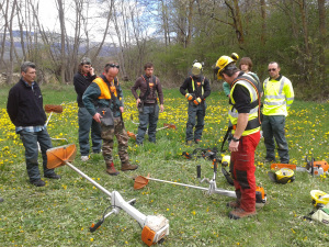 La sécurité en milieu forestier