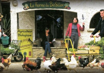 Visite à « la ferme du BioSillon »