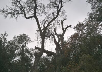 Le pays catalan à l’épreuve du dérèglement climatique