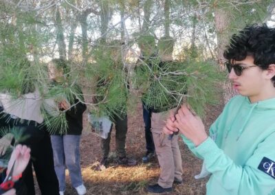 Récolte de végétaux et réalisation d’un herbier