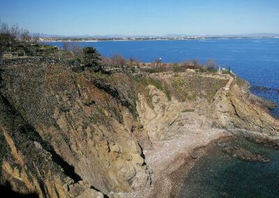 À la découverte des espèces exotiques envahissantes de la côte rocheuse