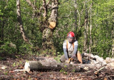 Une journée avec la formation BPa Travaux Forestiers Bûcheronnage