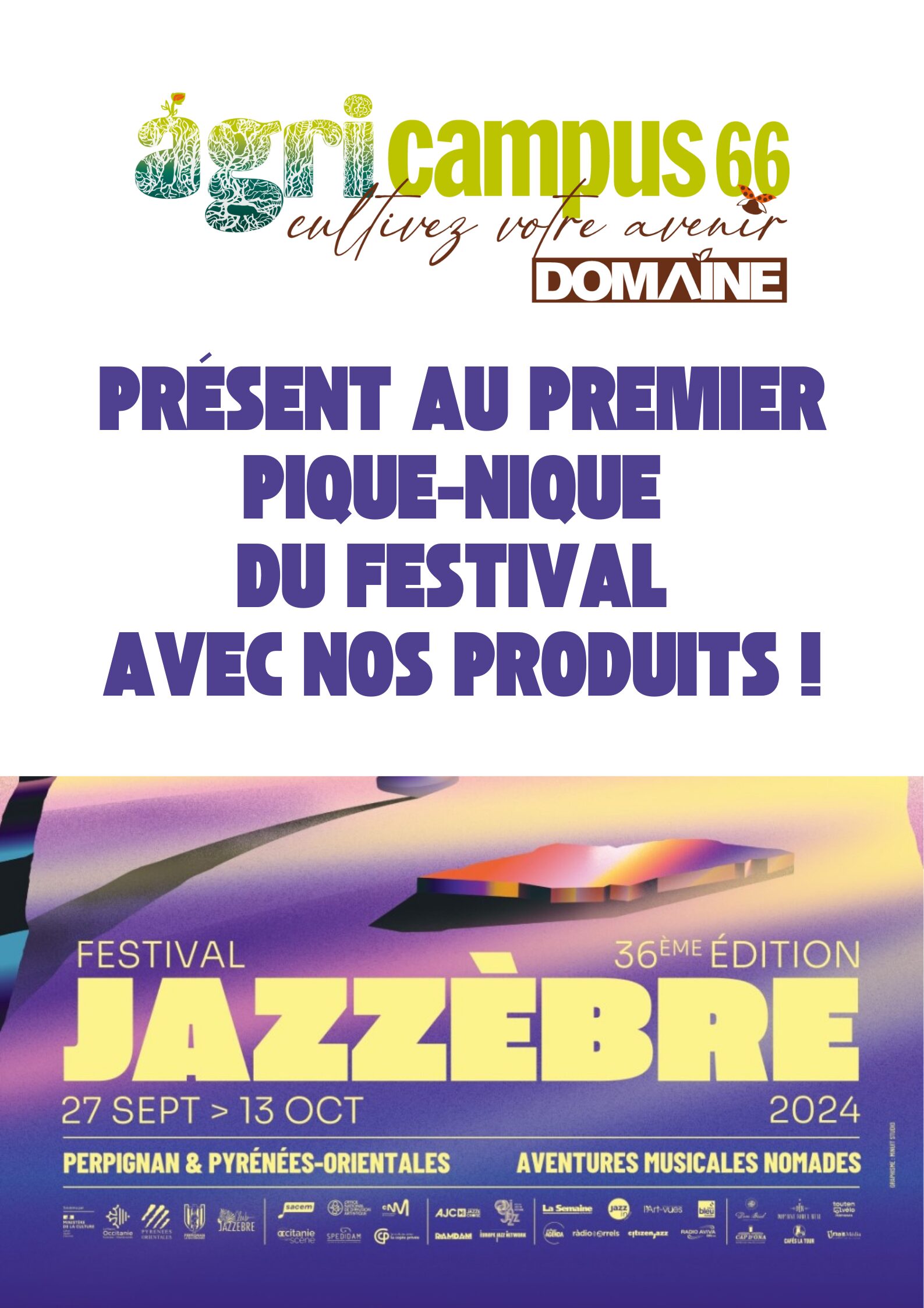 Festival Jazzèbre en partenariat avec le Domaine