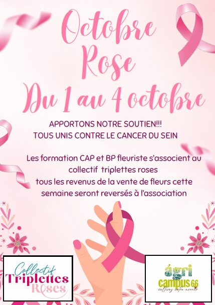 Octobre Rose : Ensemble, soutenons la lutte contre le cancer du sein.