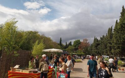 Rétrospective du marché des producteurs de la TESA