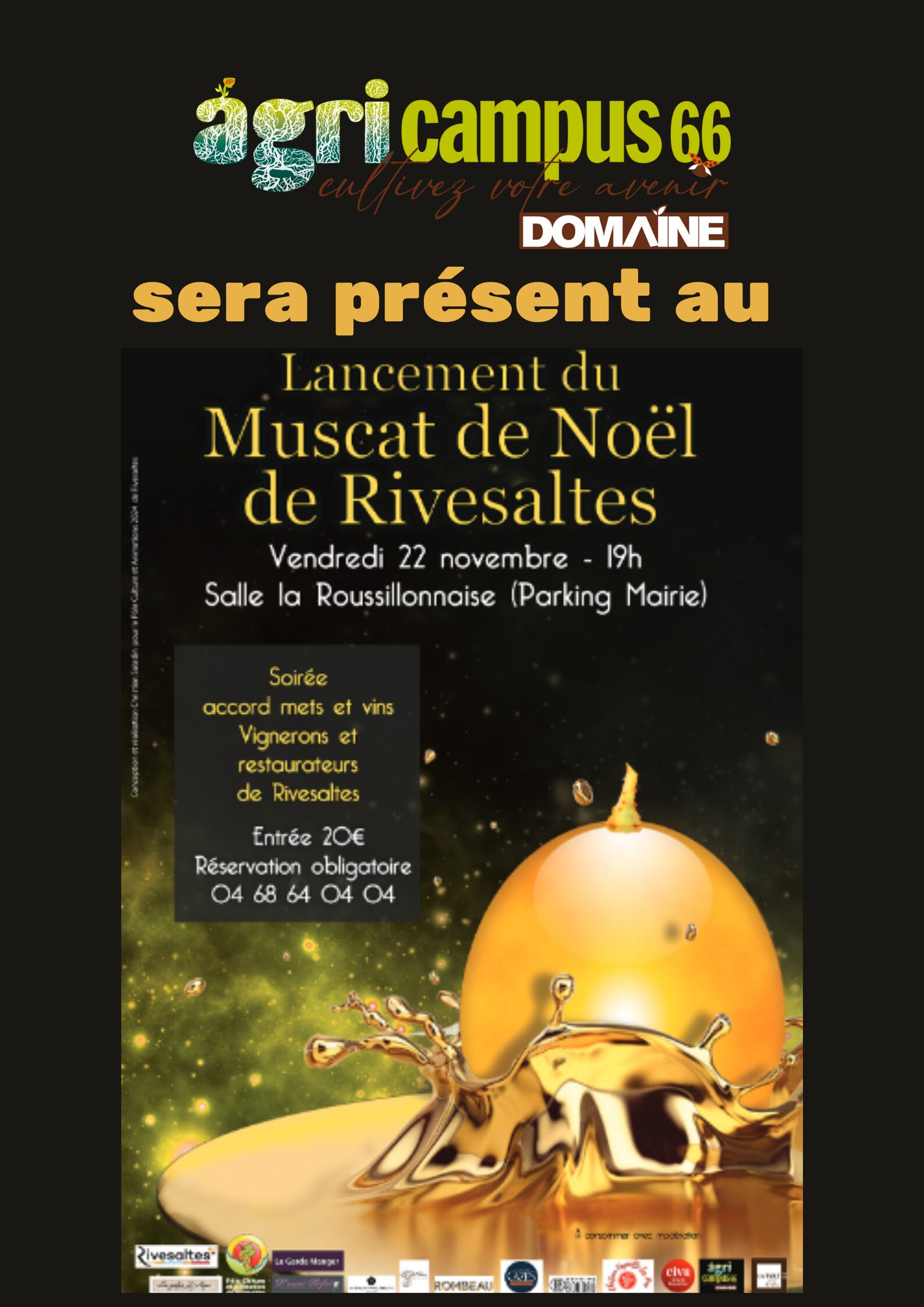 Lancement Muscat de Noël de Rivesaltes !