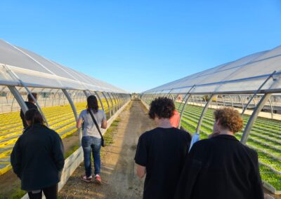 l’EARL Casanova, un spécialiste du plant maraîcher en région Occitanie